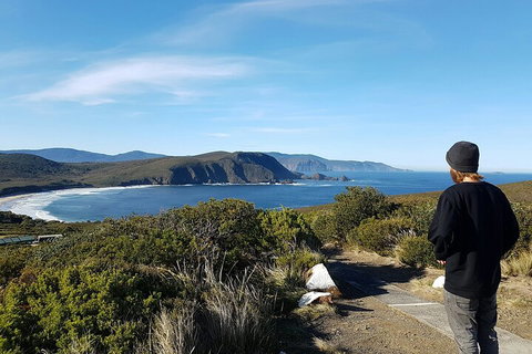 4-Day Fabulous Tasmania Tour: Wineglass Bay, Port Arthur, Devils & Bruny Island - Kingaroy Accommodation 0