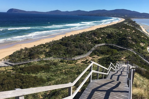 4-Day Fabulous Tasmania Tour: Wineglass Bay, Port Arthur, Devils & Bruny Island - Kingaroy Accommodation 5