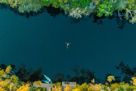 Cruise 'n' Canoe To Australia's Everglades - Kingaroy Accommodation 2