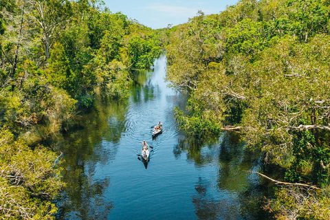 Cruise 'n' Canoe To Australia's Everglades - Kingaroy Accommodation 3