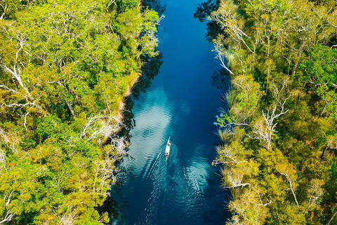Cruise 'n' Canoe To Australia's Everglades - Kingaroy Accommodation 4