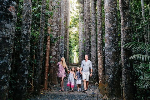 The Original Day Tour To Paronella Park, Lake Barrine And Millaa Millaa Falls - Kingaroy Accommodation 1