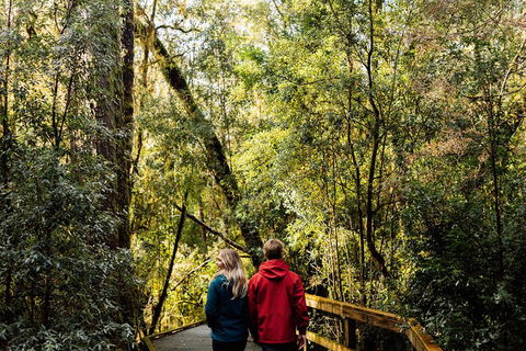 Gordon River Cruise Departing From Strahan - Kingaroy Accommodation 2