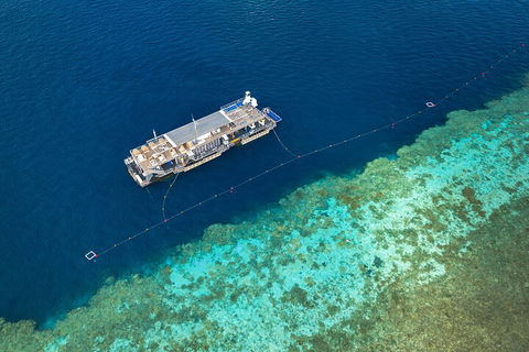 Great Barrier Reef Day Cruise To Reefworld - Kingaroy Accommodation 2