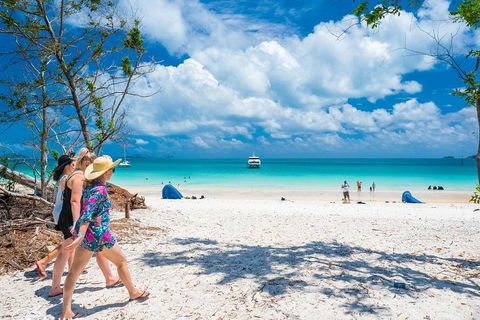 Whitehaven Beach Half-Day Cruises - Kingaroy Accommodation 1