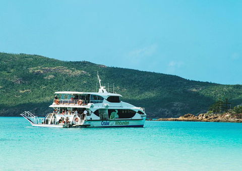 Whitehaven Beach Half-Day Cruises - Kingaroy Accommodation 5