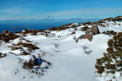 Mount Wellington Ultimate Experience Tour From Hobart - Kingaroy Accommodation 1