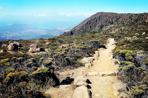 Mount Wellington Ultimate Experience Tour From Hobart - Kingaroy Accommodation 5
