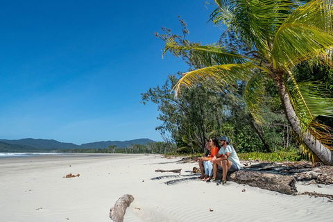 Full Day Daintree Rainforest And Mossman Gorge Tour - Kingaroy Accommodation 4