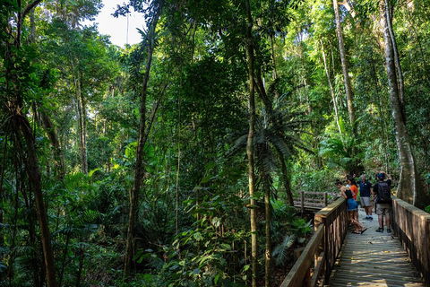 Full Day Daintree Rainforest And Mossman Gorge Tour - Kingaroy Accommodation 5