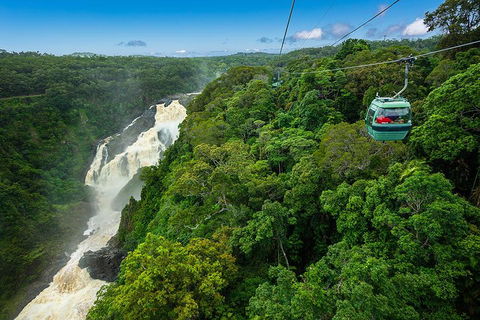 Cairns ATV Adventure Tour And Morning Skyrail - Kingaroy Accommodation 3