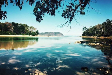 Full-Day Guided Bruny Island Tour From Hobart - Kingaroy Accommodation 1