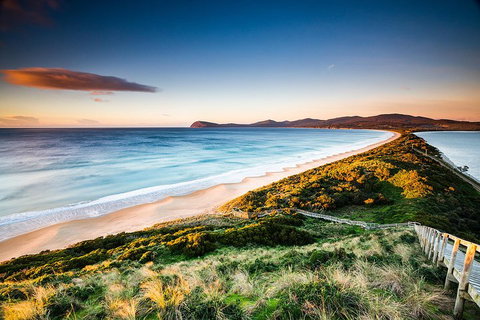 Full-Day Guided Bruny Island Tour From Hobart - Kingaroy Accommodation 2