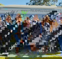 Full Day Mount Tamborine Winery Tour from Gold Coast - Kingaroy Accommodation