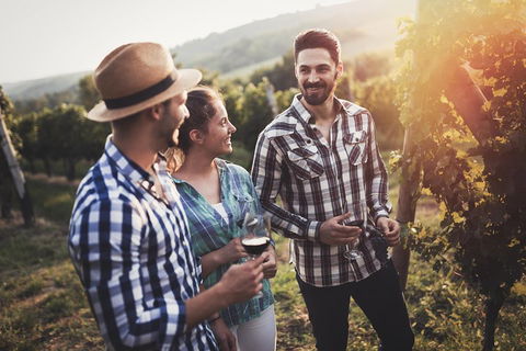 Full Day Mount Tamborine Winery Tour From Gold Coast - Kingaroy Accommodation 5