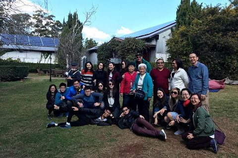 Full Day Mount Tamborine Winery Tour From Brisbane - Kingaroy Accommodation 2