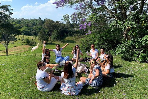 Full Day Mount Tamborine Winery Tour From Brisbane - Kingaroy Accommodation 4