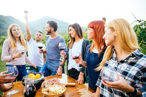 Full Day Mount Tamborine Winery Tour From Brisbane - Kingaroy Accommodation 5
