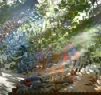 Mossman Gorge Adventure Day - Kingaroy Accommodation