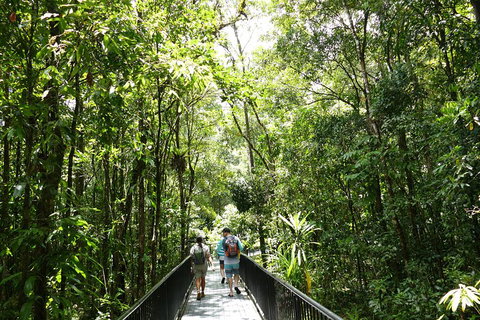 Daintree Dreaming Traditional Aboriginal Fishing From Cairns Or Port Douglas - Kingaroy Accommodation 3