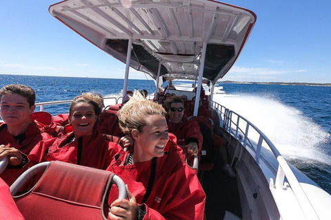 Adventure Rottnest Tour With Ferry & Adventure Cruise From Perth Or Fremantle - Kingaroy Accommodation 0