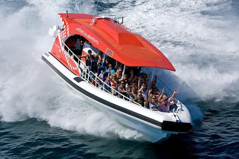 Adventure Rottnest Tour With Ferry & Adventure Cruise From Perth Or Fremantle - Kingaroy Accommodation 2