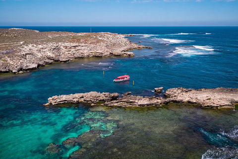 Adventure Rottnest Tour With Ferry & Adventure Cruise From Perth Or Fremantle - Kingaroy Accommodation 3