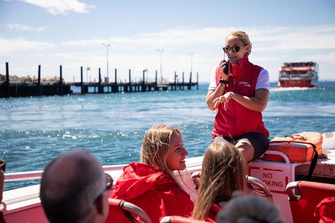 Adventure Rottnest Tour With Ferry & Adventure Cruise From Perth Or Fremantle - Kingaroy Accommodation 4