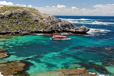 Adventure Rottnest Tour With Ferry & Adventure Cruise From Perth Or Fremantle - Kingaroy Accommodation 5