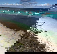 Experience Rottnest with Ferry  Bike Hire from Perth or Fremantle - Kingaroy Accommodation