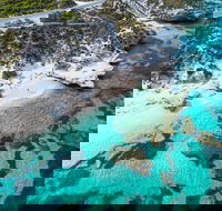 Rottnest Island Round-Trip Ferry from Perth or Fremantle - Kingaroy Accommodation