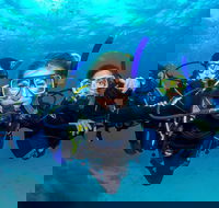 Great Barrier Reef Diving and Snorkeling Cruise from Cairns - Kingaroy Accommodation