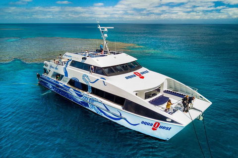 Great Barrier Reef Diving And Snorkeling Cruise From Cairns - Kingaroy Accommodation 5