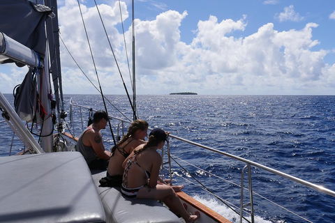 Ocean Free Green Island & Great Barrier Reef Snorkel Cruise, Cairns 25 Guests - Kingaroy Accommodation 4