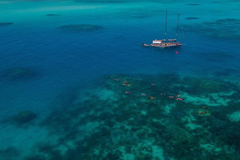Ocean Free Green Island & Great Barrier Reef Snorkel Cruise, Cairns 25 Guests - Kingaroy Accommodation 5