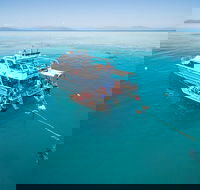 Ocean Freedom Great Barrier Reef Personal Luxury Snorkel  Dive Cruise Cairns - Kingaroy Accommodation