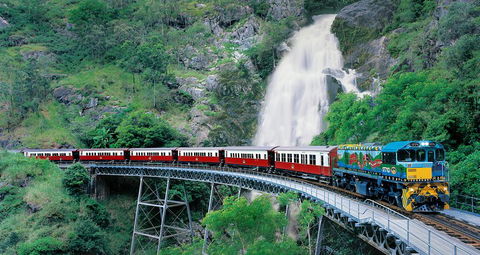 Classic Kuranda By Skyrail And Scenic Railway Including Rainforestation, Koala And Wildlife Park And Pamagirri Aboriginal Experi - Kingaroy Accommodation 1