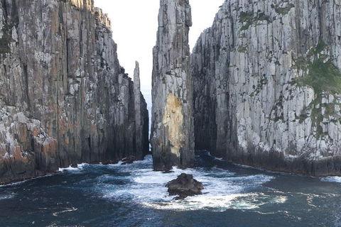 Tasman Island Cruises And Port Arthur Historic Site Day Tour From Hobart - Kingaroy Accommodation 2