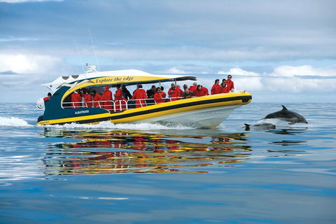 Tasman Island Cruises And Port Arthur Historic Site Day Tour From Hobart - Kingaroy Accommodation 3