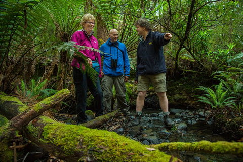 Bruny Island Traveller - Gourmet Tasting And Sightseeing Day Trip From Hobart - Kingaroy Accommodation 1
