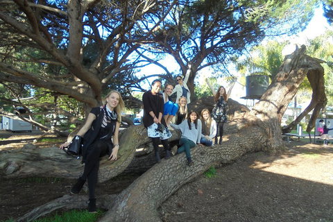 1/2 Day Swan Valley Wine Cheese & Chocolate Tour Inc Afternoon Cruise To Perth - Kingaroy Accommodation 0