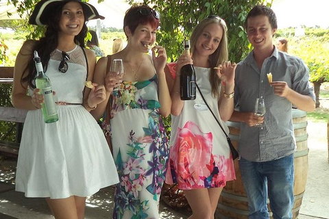 1/2 Day Swan Valley Wine Cheese & Chocolate Tour Inc Afternoon Cruise To Perth - Kingaroy Accommodation 4