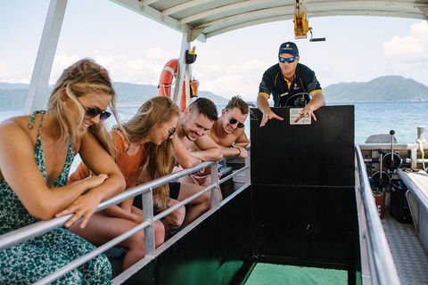 Fitzroy Island Day Trip From Cairns - Kingaroy Accommodation 4