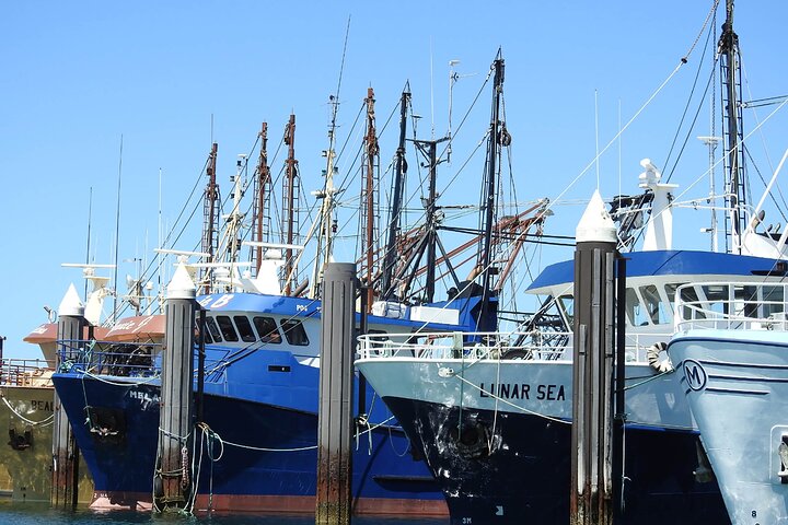 Kingaroy Accommodation