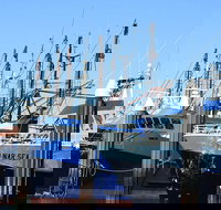 One Day Port Lincoln Tour - Tasting Eyre - Kingaroy Accommodation