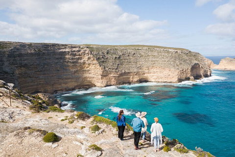 One Day Port Lincoln Tour - Tasting Eyre - Kingaroy Accommodation 1