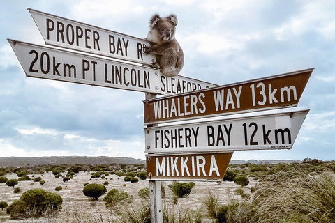 One Day Port Lincoln Tour - Tasting Eyre - Kingaroy Accommodation 2
