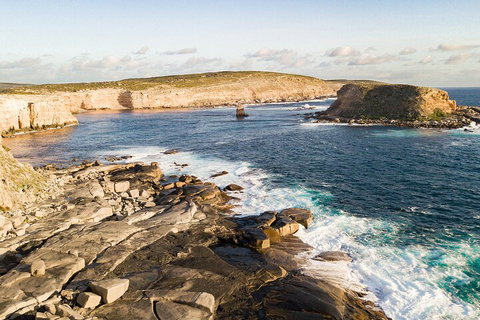 One Day Port Lincoln Tour - Tasting Eyre - Kingaroy Accommodation 3