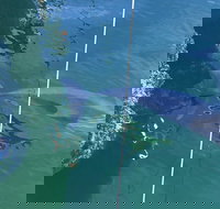 Dolphin Cruise from Adelaide with Optional Dolphin Swim - Kingaroy Accommodation