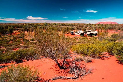 Overnight Uluru (Ayers Rock) Small-Group Camping Tour - Kingaroy Accommodation 2